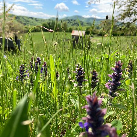 Penzion Kopanicky Dvor Hodruša Exteriér fotografie