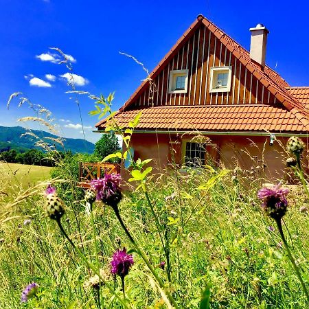 Penzion Kopanicky Dvor Hodruša Exteriér fotografie