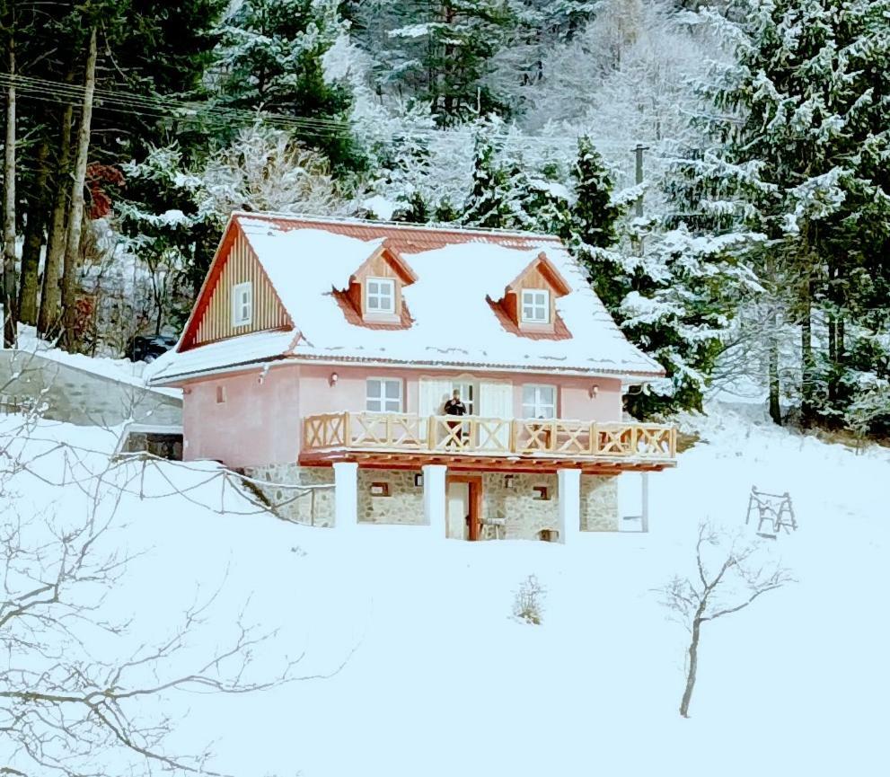 Penzion Kopanicky Dvor Hodruša Exteriér fotografie