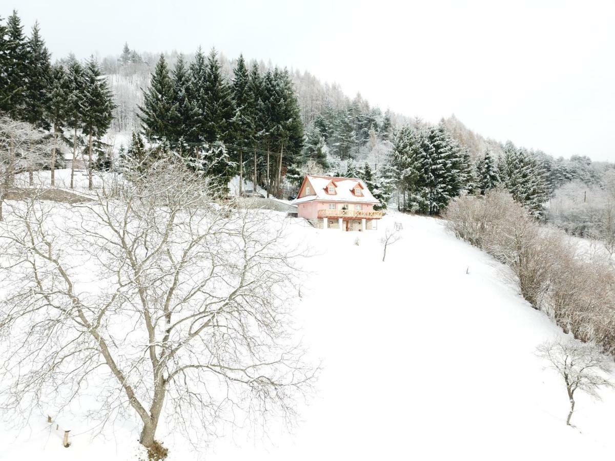 Penzion Kopanicky Dvor Hodruša Exteriér fotografie