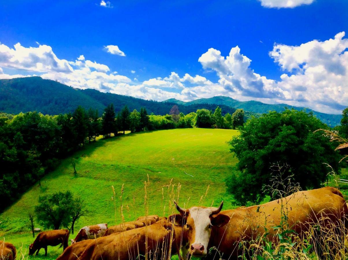 Penzion Kopanicky Dvor Hodruša Exteriér fotografie