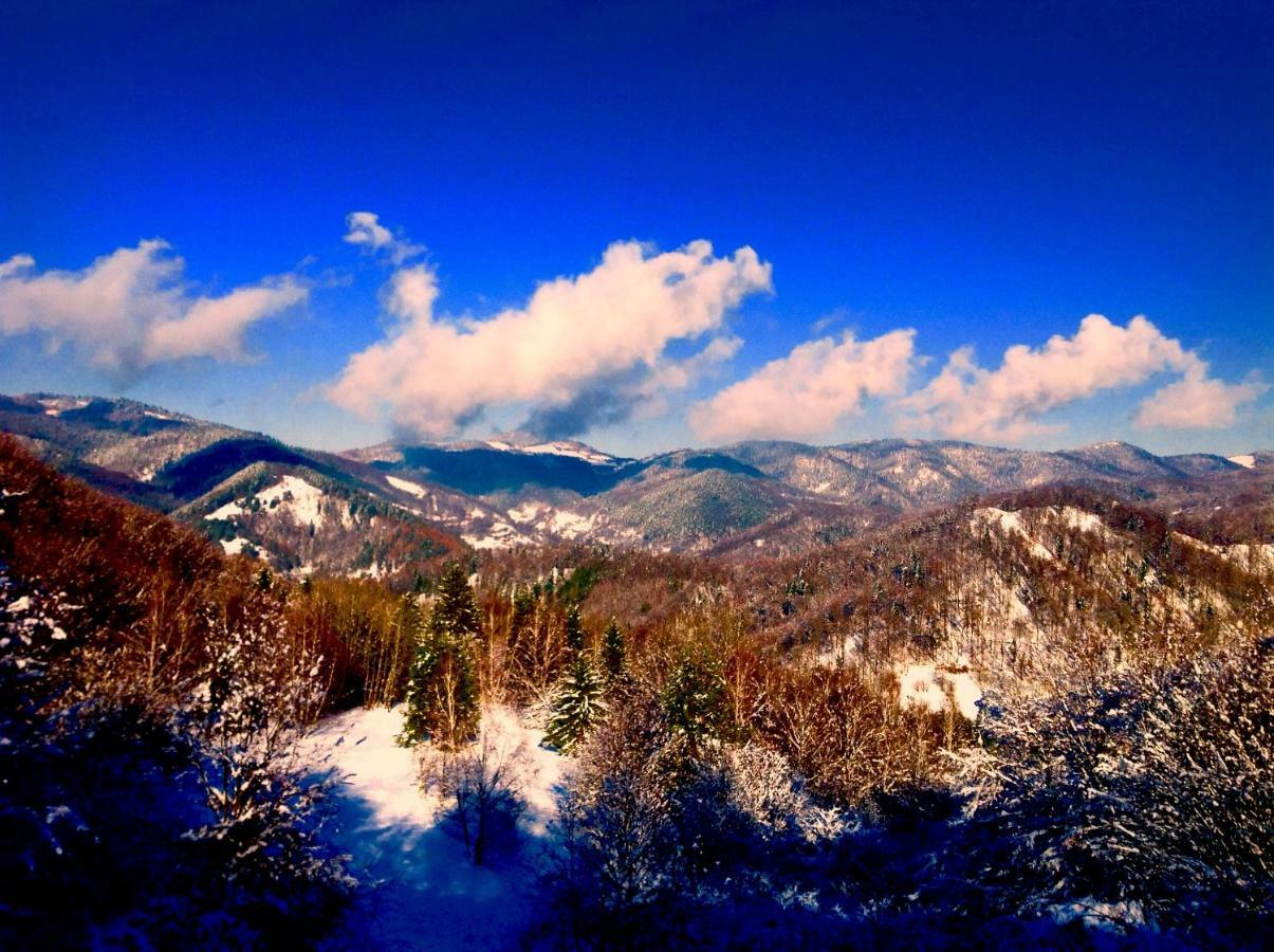 Penzion Kopanicky Dvor Hodruša Exteriér fotografie