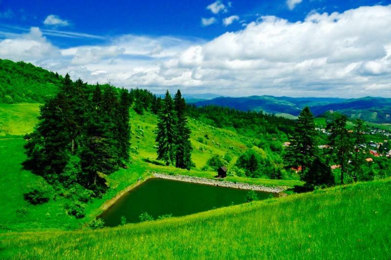 Penzion Kopanicky Dvor Hodruša Exteriér fotografie
