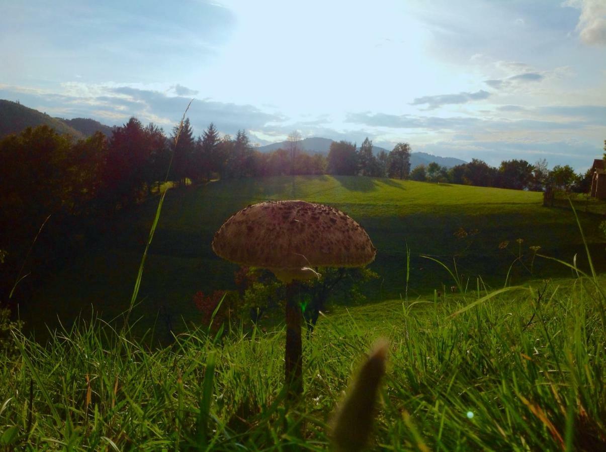 Penzion Kopanicky Dvor Hodruša Exteriér fotografie