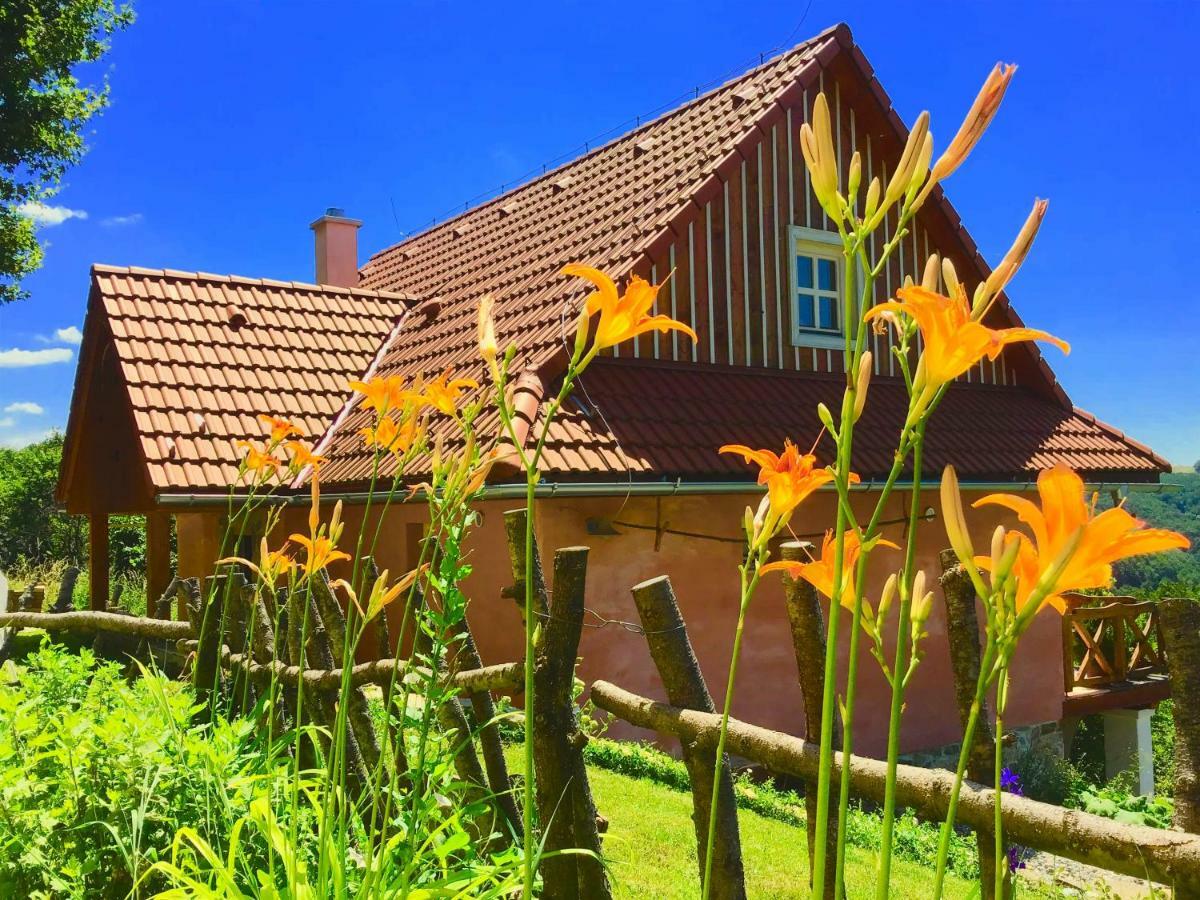 Penzion Kopanicky Dvor Hodruša Exteriér fotografie