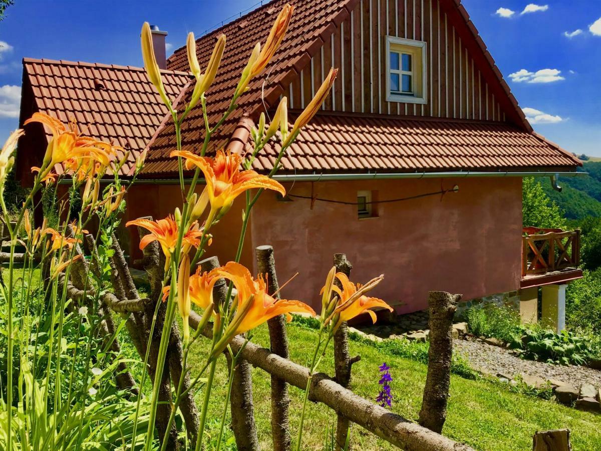 Penzion Kopanicky Dvor Hodruša Exteriér fotografie